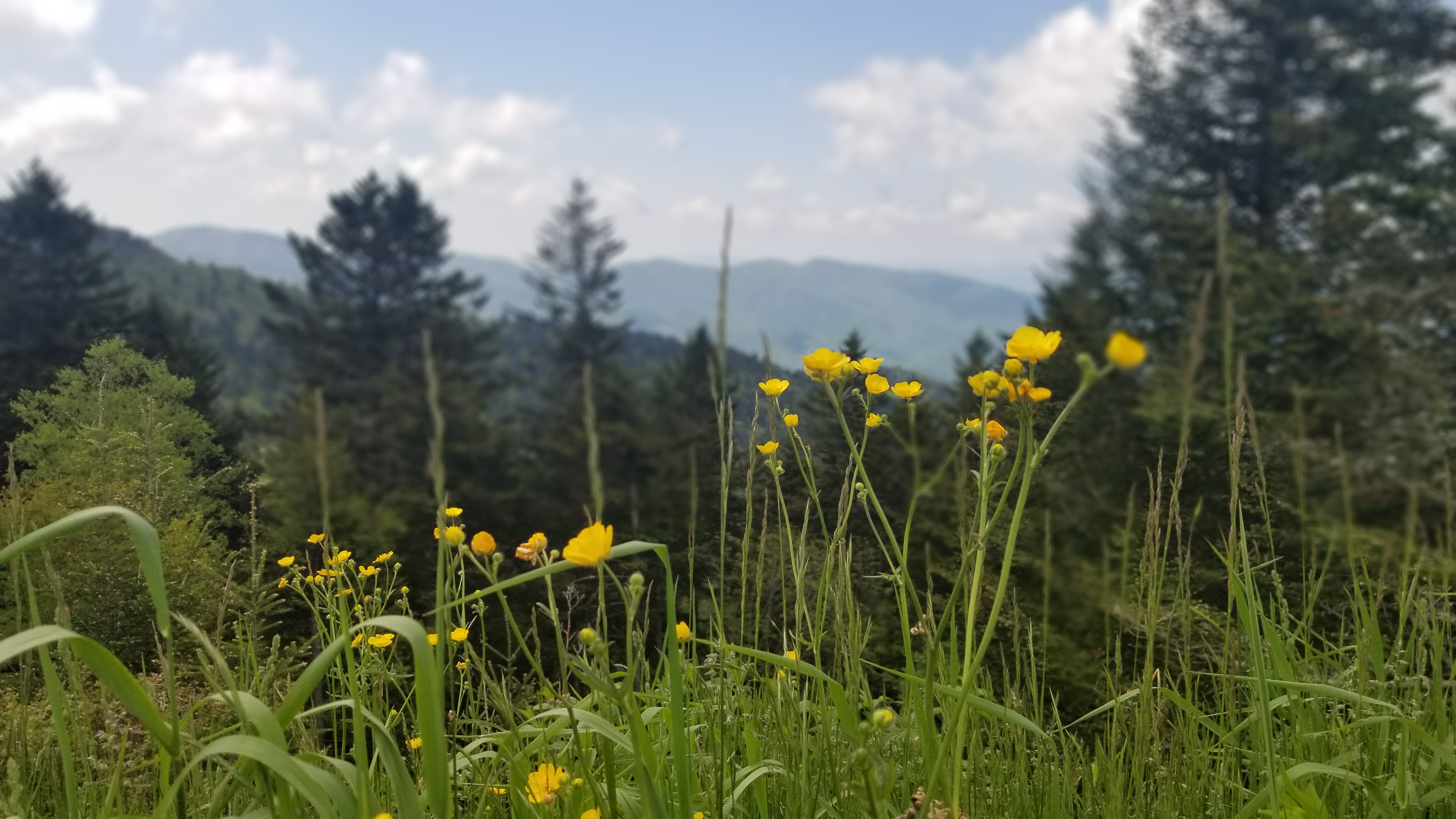 Visiting Every National Park Site in Tennessee