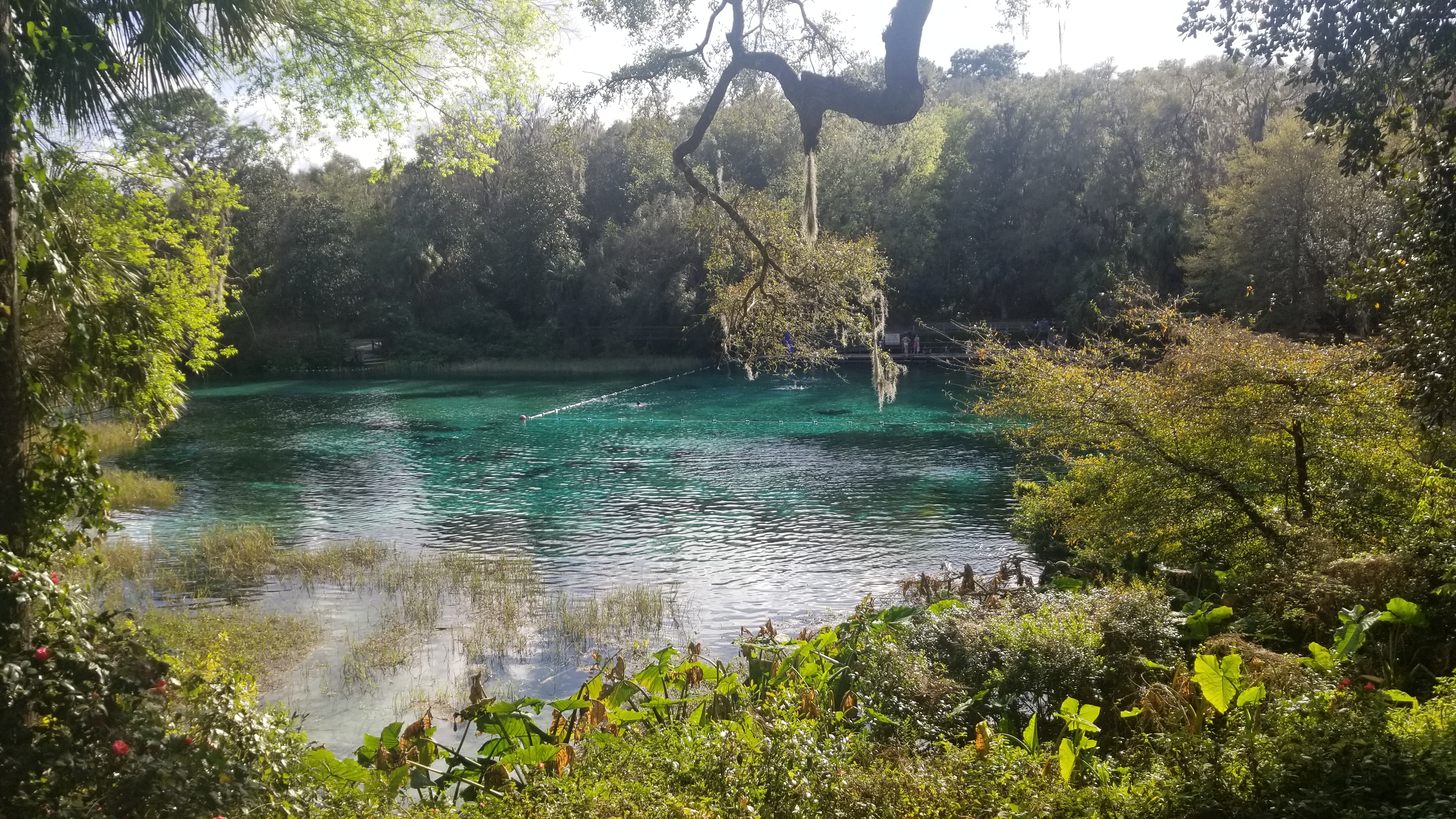 Rainbow Springs State Park {Florida}