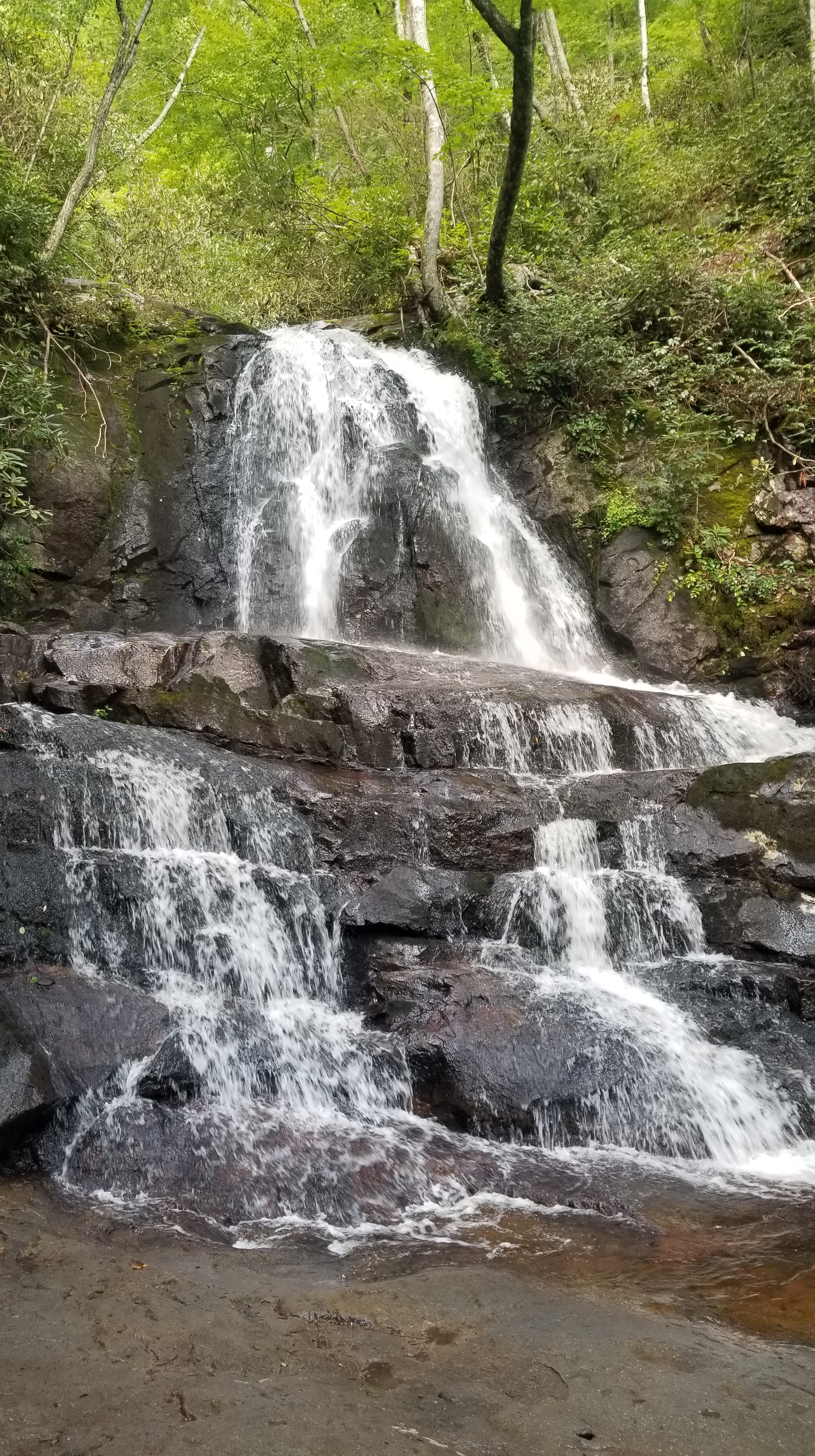 Laural Falls Trail- Smoky Mountain National Park {Tennessee}