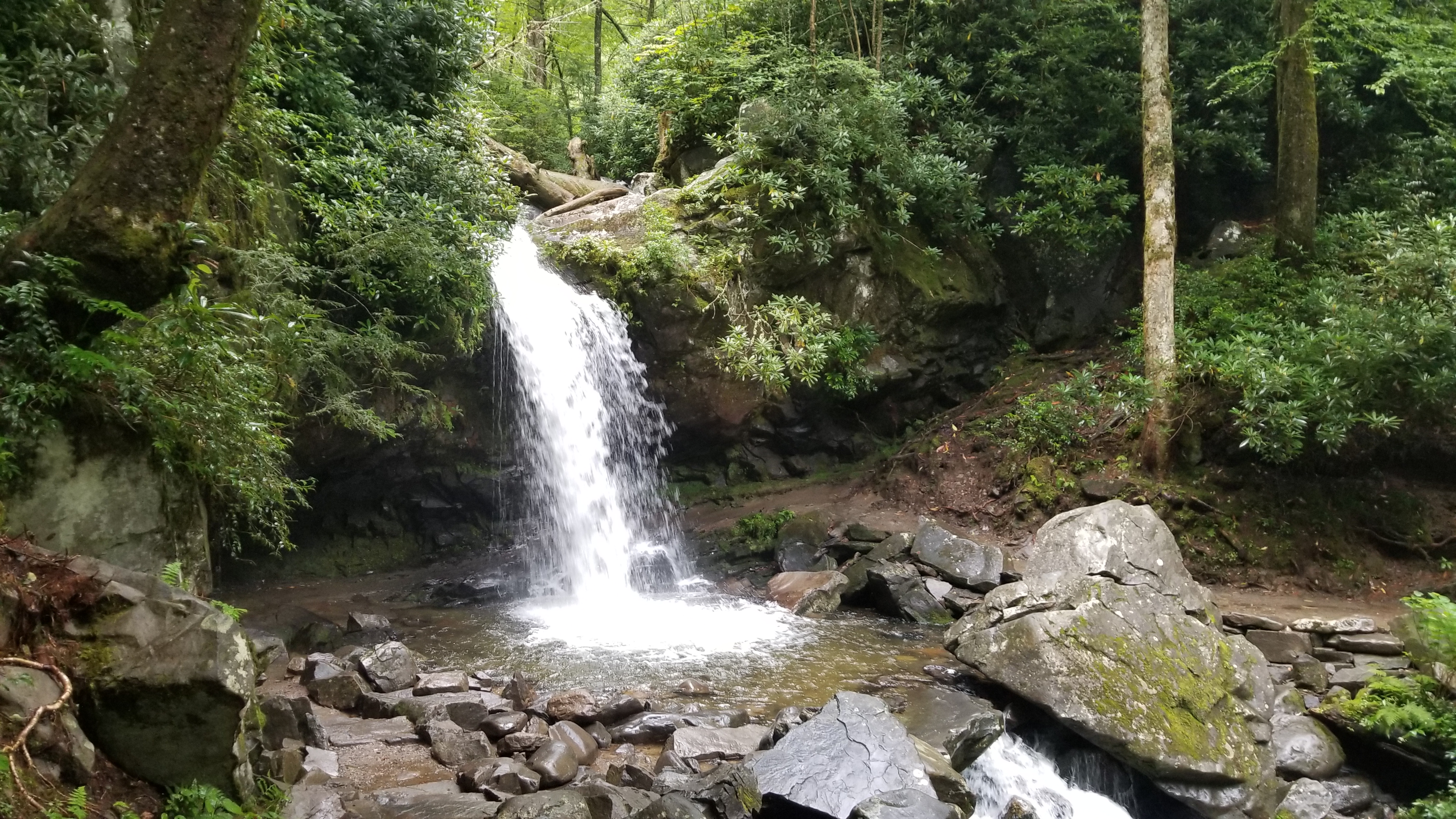 Grotto Falls Trail- Smoky Mountain National Park {Tennessee}