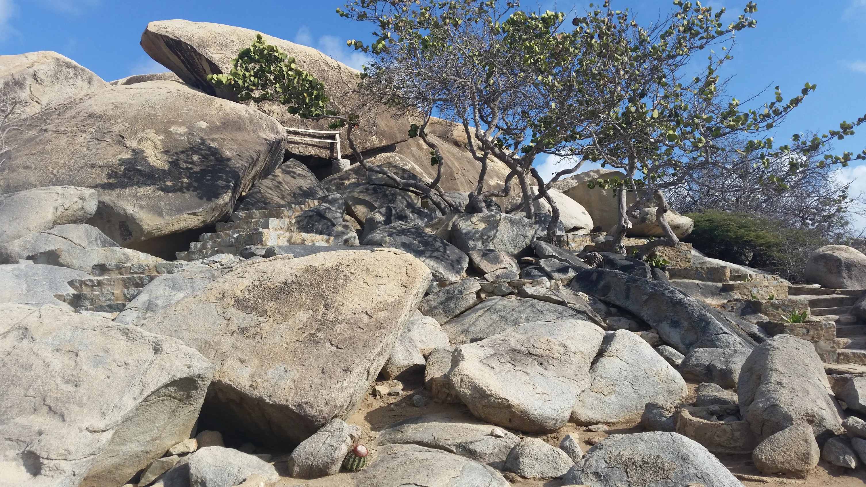 Five Favorites :: Rocky Paths