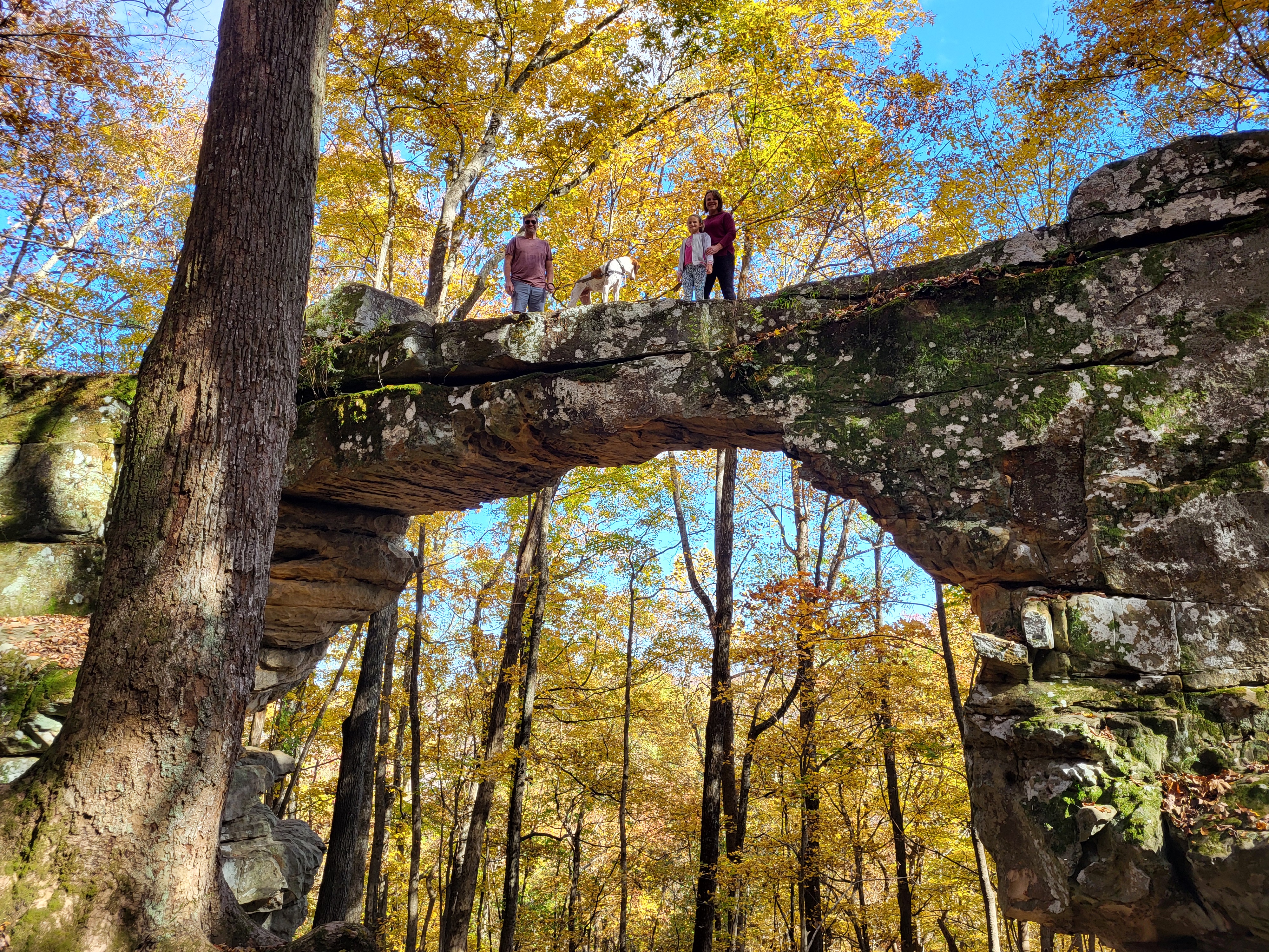 Fall Leaves & Natural Bridges- Exploring Head of the Crow State Park
