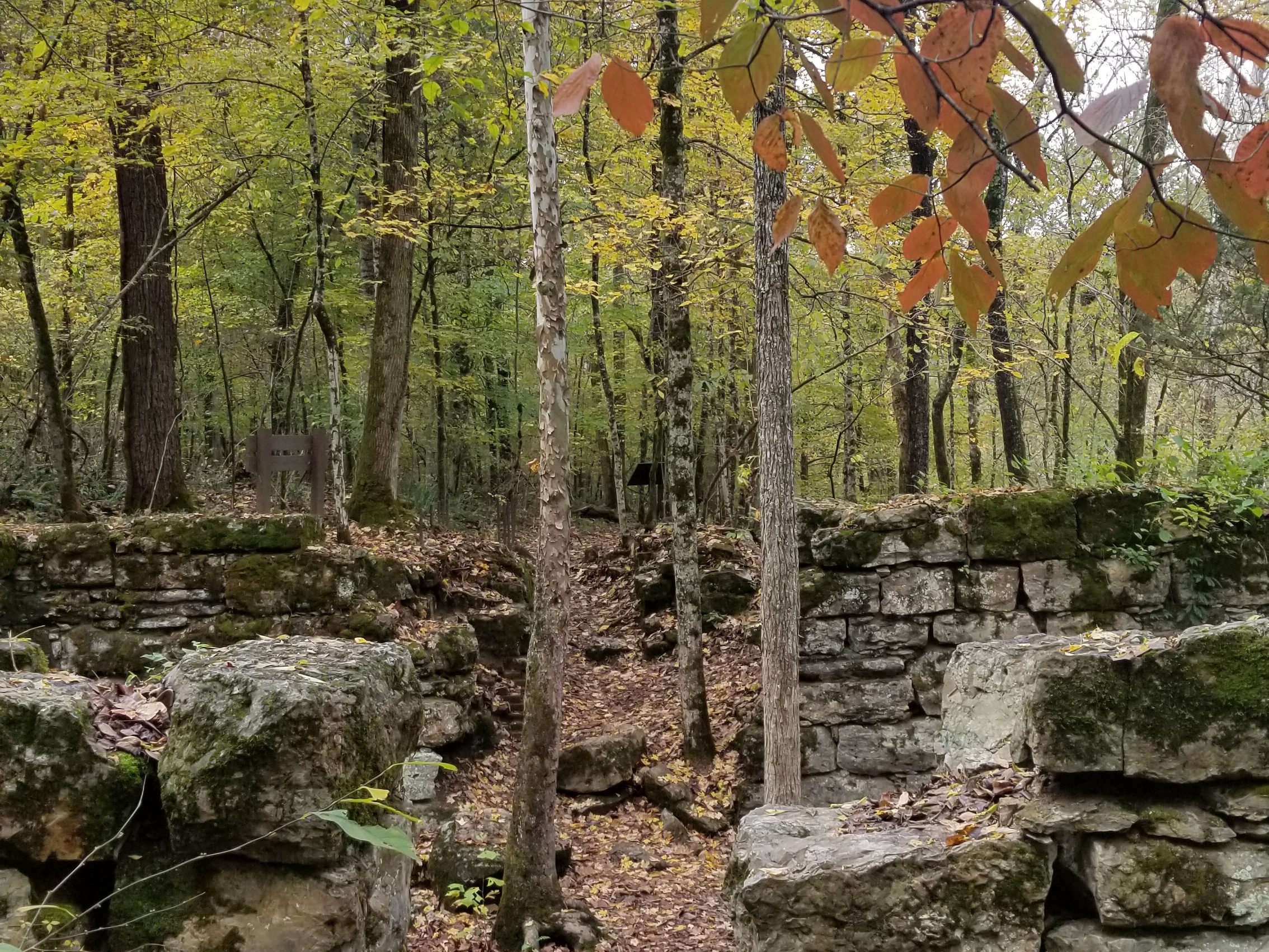 Exploring Old Stone Fort State Park in the Fall {Tennessee}